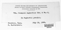 Image Associated With the Occurence